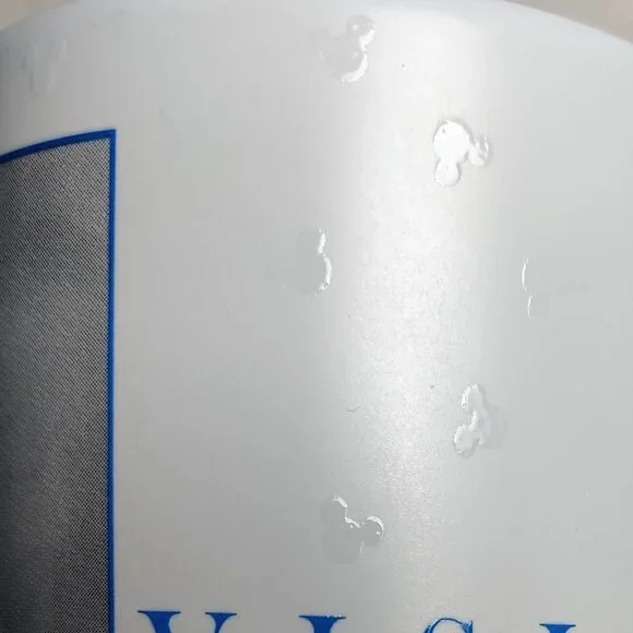 Walt Disney Footsteps Mug Cinderella Castle Photo Vision Quote Disney Parks